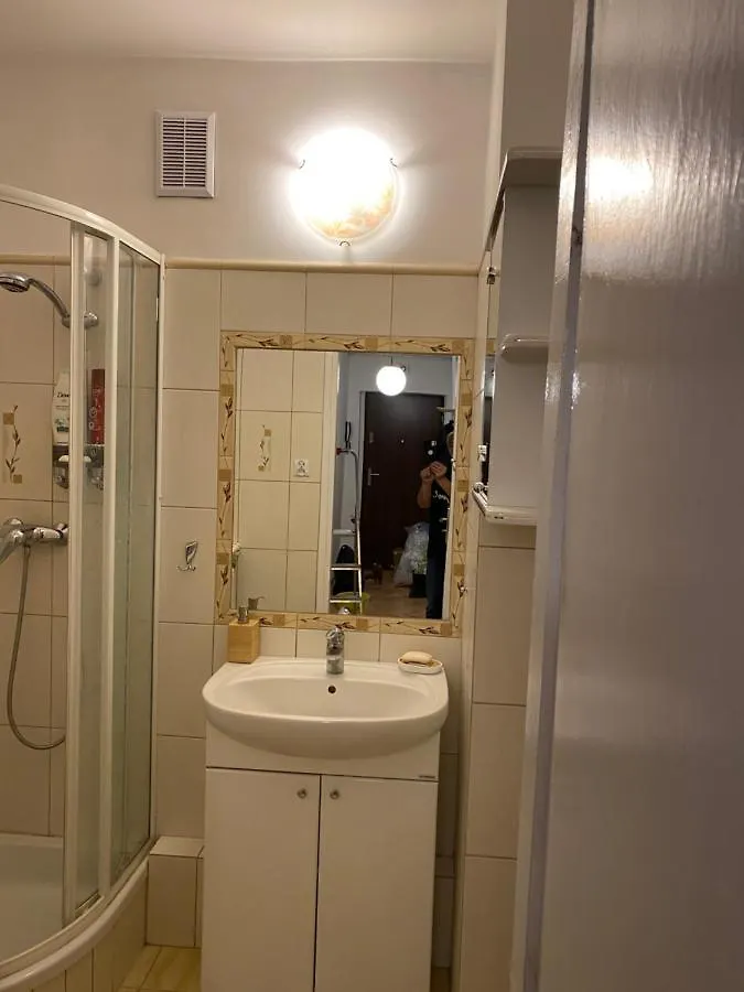 Apartament Mieszkanie z duszą w sercu Jeżyc Poznań